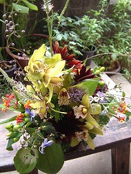 DSCF1117_hp.jpg 190��253 28K