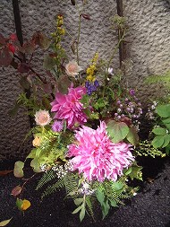 DSCF1527_hp.jpg 190��253 28K