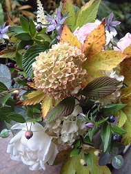 DSCF1914_hp.jpg 190��253 28K