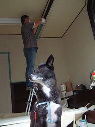 DSCF5210.JPG 190��253 9K