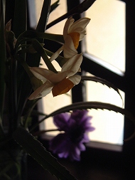 DSCF9614_hp.jpg 190��253 25K